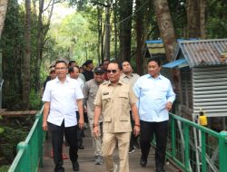 Hutan Kota Jadi Sarana Interaksi Alam dan Warga di Tengah Kota