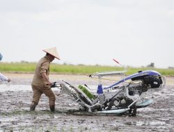 Kalteng Tunjukkan Komitmen Pada Ketahanan Pangan Nasional dengan Tanam Padi Serentak