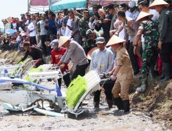 Pemerintah Dorong Desa Berdaya Lewat Gerakan Tanam Padi Serentak Nasional