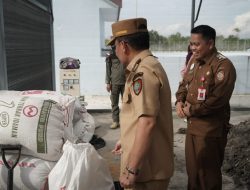 Gubernur Tinjau Persemaian Modern, Perkuat Ketahanan Lingkungan