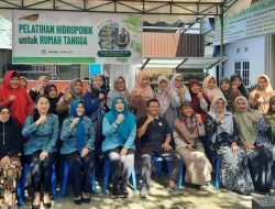 Hidroponik Jadi Solusi Pangan Mandiri Warga Palangka Raya