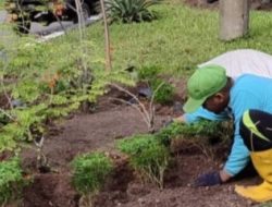 Kota Palangka Raya Maksimalkan Peran Taman dan RTH