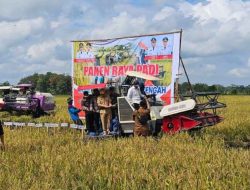 Pemprov Kalteng Genjot Ketahanan Pangan, Panen Raya di Kapuas Jadi Bukti Nyata