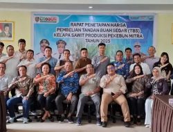 Harga TBS Sawit Kembali Naik, Pemprov Kalteng Pastikan Petani Plasma Dapat Perlindungan