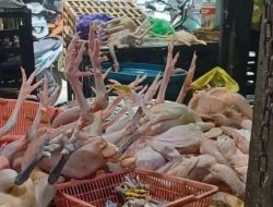 Sinergi Pemko dan Masyarakat Jaga Stabilitas Inflasi Daerah