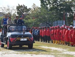 Presiden Minta TNI-Polri All Out Dukung Penanganan Karhutla di Kalteng