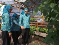 Pemanfaatan Pekarangan Jadi Strategi Wujudkan Kemandirian Pangan