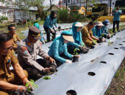 Gerakan Pekarangan di Palangka Raya Wujudkan Kemandirian Keluarga