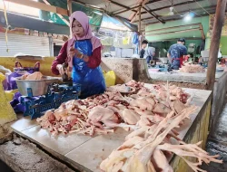 Sukamara Catat Inflasi Tertinggi, Palangka Raya Terendah