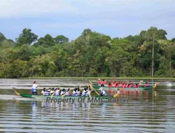 Warga Barsel Padati Lomba Dayung Tradisional 2024