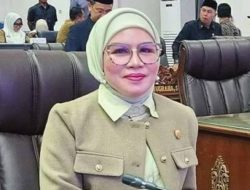 Sri Neni Dorong Pemerataan Tenaga dan Fasilitas Kesehatan di Barito Utara