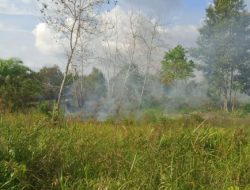 BPBD: 47 Hektare Lahan Terbakar di Palangka Raya Sepanjang 2025