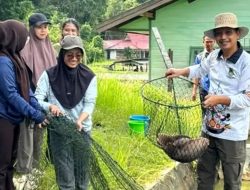 DKPP Barito Utara Galakkan Panen Bibit Ikan, Masyarakat Diajak Mandiri dalam Budidaya