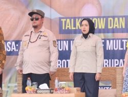 Sinergi Pemkab Katingan dan Mitra Internasional Bangkitkan Kembali Kejayaan Rotan Lokal