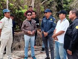 Dorong Kemandirian Pangan, DPRD Barito Utara Dukung Program Cetak Sawah di Gunung Timang