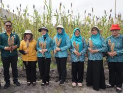 PKK Palangka Raya Perkuat Gerakan Pangan Lokal dari Pekarangan