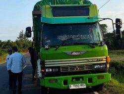 Pemko Palangka Raya Tertibkan Truk Odol Demi Keselamatan Jalan