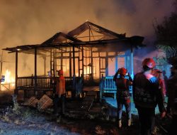 Disdamkarmat Palangka Raya Sigap Kendalikan Api Di Bukit Tunggal