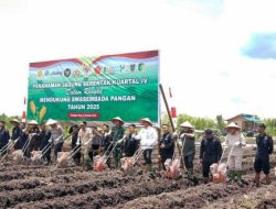 Kolaborasi Pemerintah dan Petani Wujudkan Lumbung Jagung Kalteng
