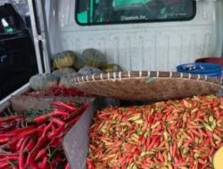 Harga Cabai Merah Palangka Raya Alami Kenaikan Sementara