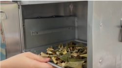 Pelatihan Teh Kulit Semangka UPR Perkuat Kemandirian Petani Desa Henda