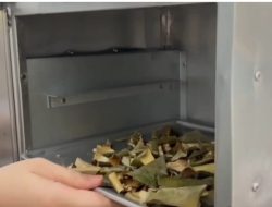 Pelatihan Teh Kulit Semangka UPR Perkuat Kemandirian Petani Desa Henda