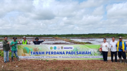 UPR Hadirkan Inovasi Pertanian Berkelanjutan Melalui Riset Terapan