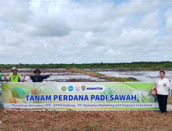 UPR Hadirkan Inovasi Pertanian Berkelanjutan Melalui Riset Terapan