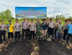 Polsek Pahandut Tanam Jagung di Lahan Tidur, Perkuat Ketahanan Pangan di Jekan Raya