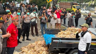Ayam Mati Jelang Panen, Peternak Kalteng Minta PLN Bertanggung Jawab atas Dampak Pemadaman