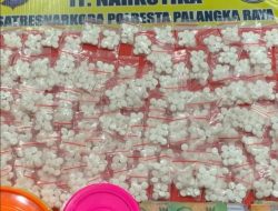 Ungkap Peredaran Narkotika di Palangka Raya, Polisi Sita 1.600 Butir Obat Diduga Golongan I