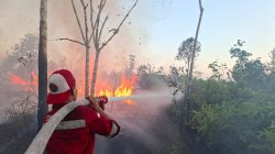 Tim Gabungan Padamkan dan Cegah Api Karhutla Meluas di Timpah