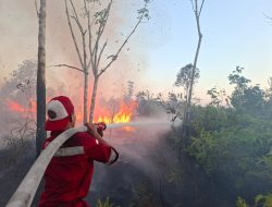Tim Gabungan Padamkan dan Cegah Api Karhutla Meluas di Timpah