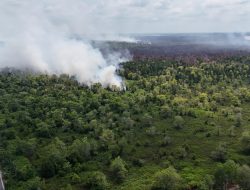 Karhutla Tahura Sabaru Ditangani Hingga Area 0,91 Hektare