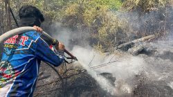Tim Gabungan Berjuang di Gambut, Karhutla Bukit Liti Padam
