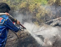 Tim Gabungan Berjuang di Gambut, Karhutla Bukit Liti Padam