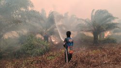 Hingga Dini Hari, Tim Gabungan Berjibaku Atasi Kebakaran Gambut Baun Bango Meluas