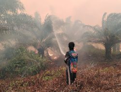 Hingga Dini Hari, Tim Gabungan Berjibaku Atasi Kebakaran Gambut Baun Bango Meluas