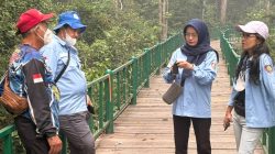 Dishut Kalteng Pastikan Kondisi Satwa Terus Dipantau