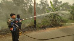 Dishut Kalteng Tangani Karhutla 0,32 Hektare di Bantanan