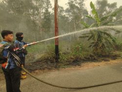 Dishut Kalteng Tangani Karhutla 0,32 Hektare di Bantanan