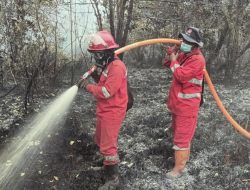 63 Karhutla Dipadamkan, BPBPK Kalteng Perkuat Operasi di Wilayah Rawan